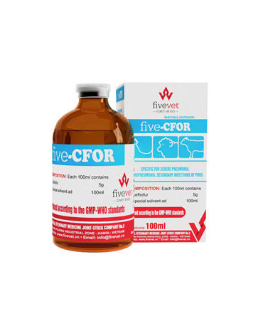 0004363_five-cfor_300