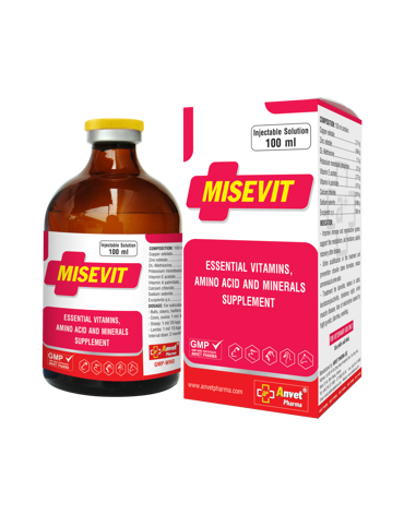 0004628_misevitmulti-vitamin-100ml_300
