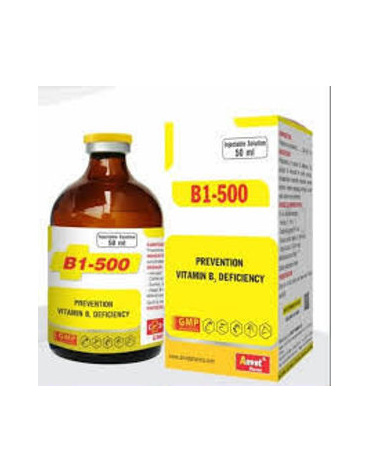 0004640_b1-500-100ml_300