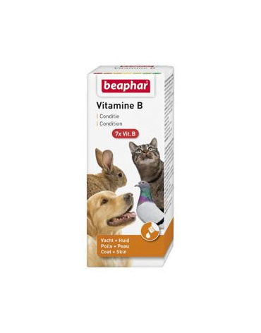 0005129_beapher-vitamin-b-50ml_300
