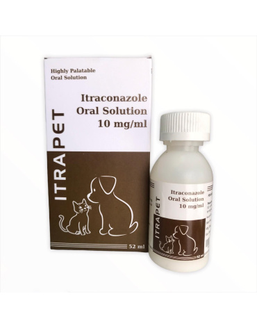 0005379_itrapet-itraconazol-10mg