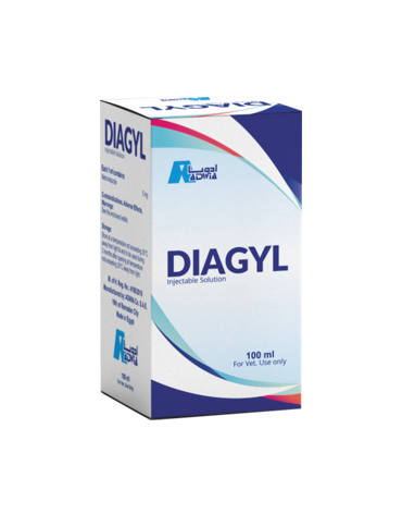 0007887_diagyl_300