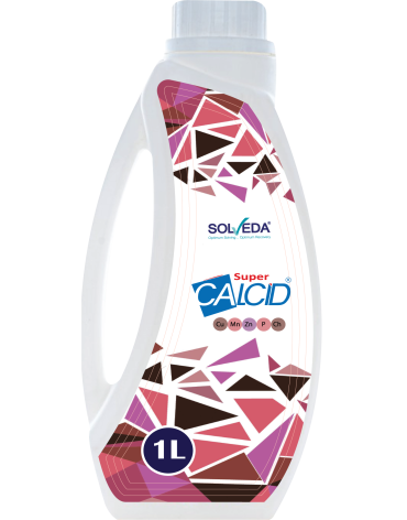 calcid-1