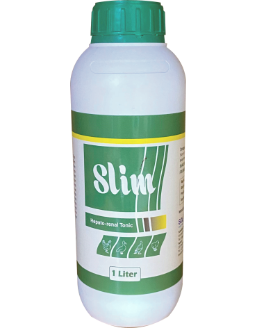 slim_521420884